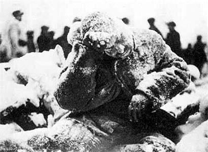 January 1940. The frozen Soviet soldier