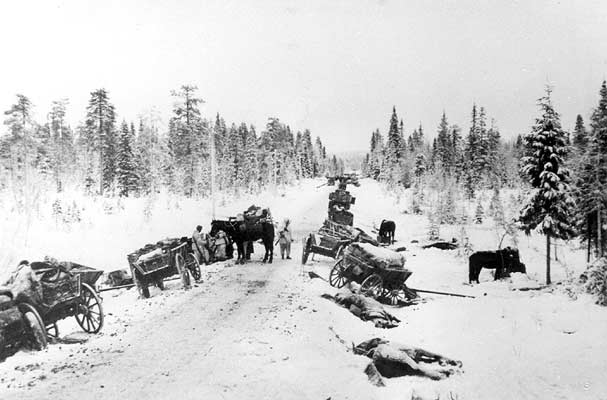 January 1940. Suomussalmi. The captured Red Army column