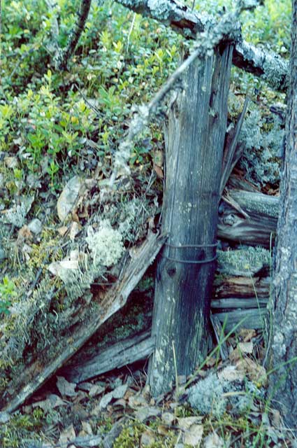 Heinäkuu 2003. Kalevalan (Uhtuan) piiri. Suomen joukkojen puolustusasemien jäännöksiä kilometrin päässä Kis-Kis -järvestä